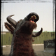 Illustration for article titled Interview: Minnesota Association Of Rogue Taxidermists